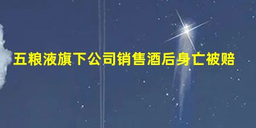 五粮液旗下公司销售酒后身亡被赔偿132万,其父亲起诉参与酒局人员 五粮液旗下公司销售酒后身亡被赔偿132万,其父亲起诉参与酒局人员