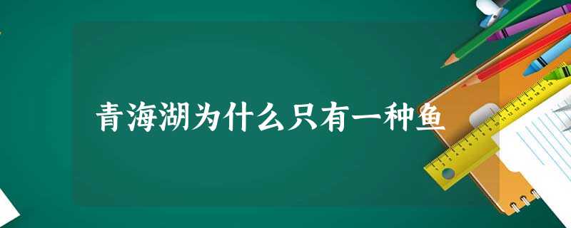 青海湖为什么只有一种鱼 青海湖为什么只有一种鱼