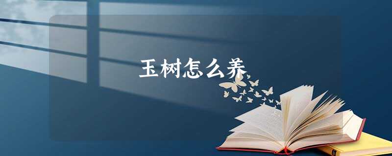 玉树怎么养 玉树怎么养