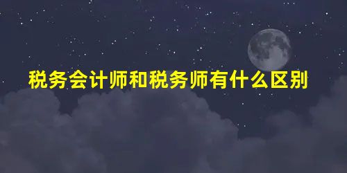 税务会计师和税务师有什么区别 税务会计师和税务师有什么区别