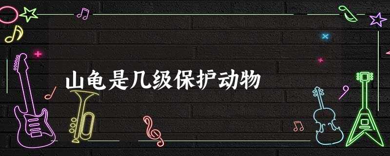 山龟是几级保护动物 山龟是几级保护动物