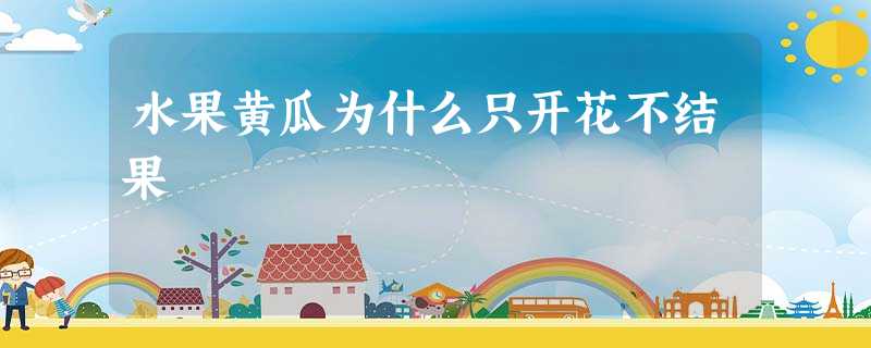 水果黄瓜为什么只开花不结果 水果黄瓜为什么只开花不结果