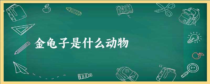 金龟子是什么动物 金龟子是什么动物
