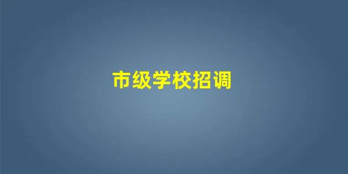 市级学校招调 市级学校招调