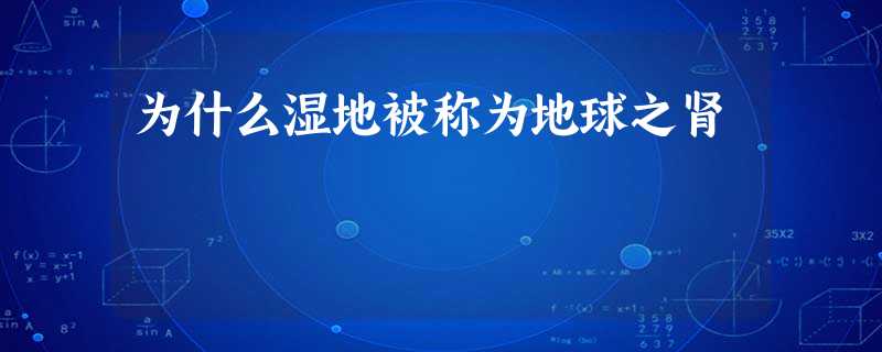 为什么湿地被称为地球之肾 为什么湿地被称为地球之肾