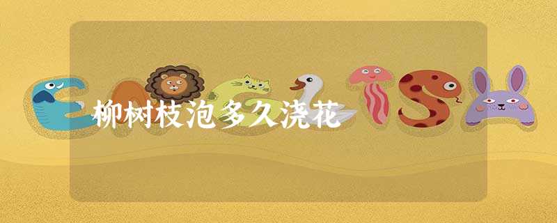 柳树枝泡多久浇花 柳树枝泡多久浇花