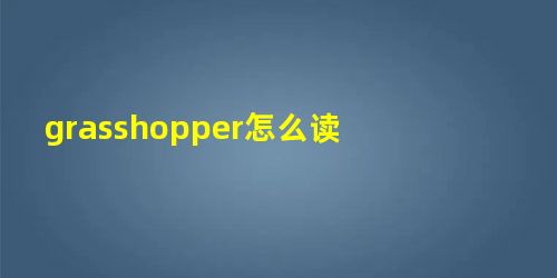 grasshopper怎么读 grasshopper怎么读
