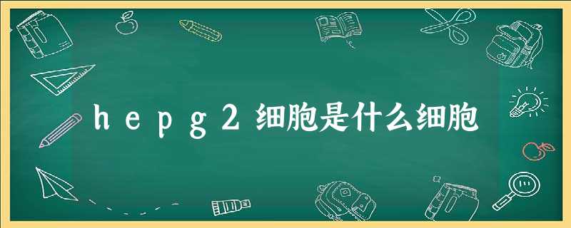 hepg2细胞是什么细胞 hepg2细胞是什么细胞
