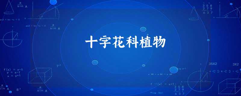 十字花科植物 十字花科植物