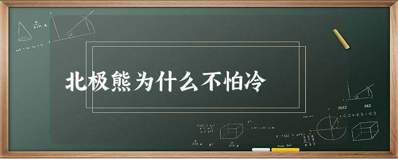 北极熊为什么不怕冷 北极熊为什么不怕冷