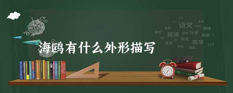 海鸥有什么外形描写 海鸥有什么外形描写