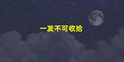 一发不可收拾 一发不可收拾