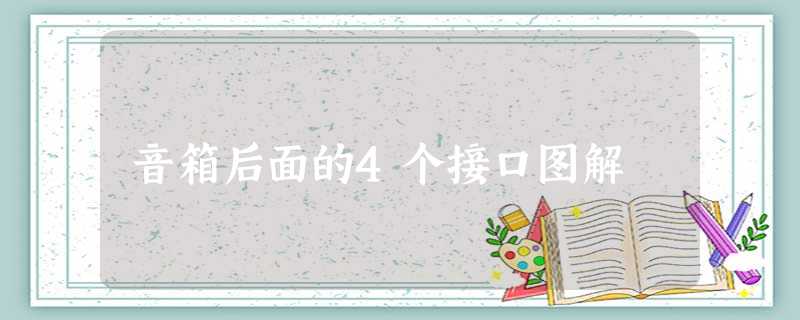 音箱后面的4个接口图解 音箱后面的4个接口图解