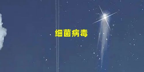 细菌病毒 细菌病毒