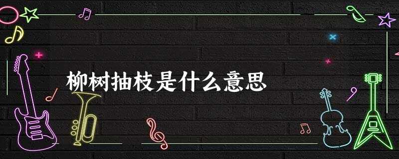 柳树抽枝是什么意思 柳树抽枝是什么意思