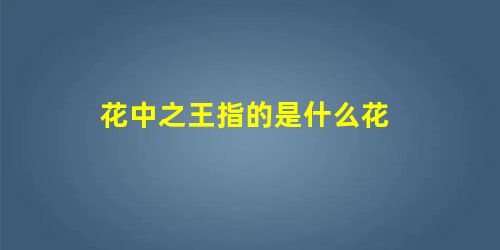 花中之王指的是什么花 花中之王指的是什么花