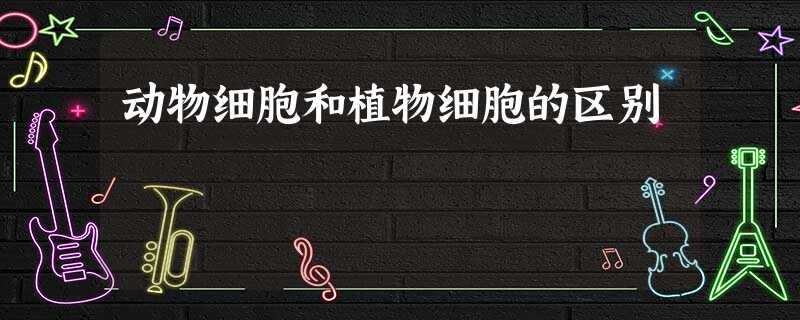 动物细胞和植物细胞的区别 动物细胞和植物细胞的区别