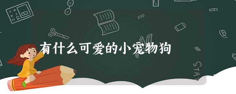 有什么可爱的小宠物狗 有什么可爱的小宠物狗
