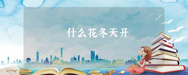 什么花冬天开 什么花冬天开