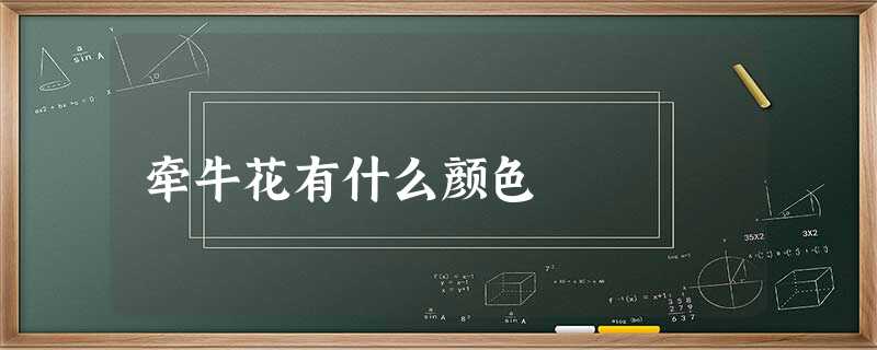 牵牛花有什么颜色 牵牛花有什么颜色