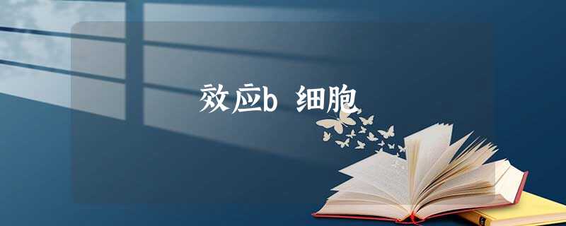效应b细胞 效应b细胞