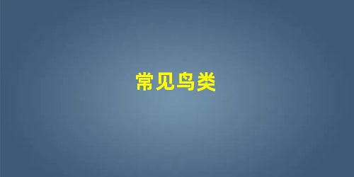 常见鸟类 常见鸟类
