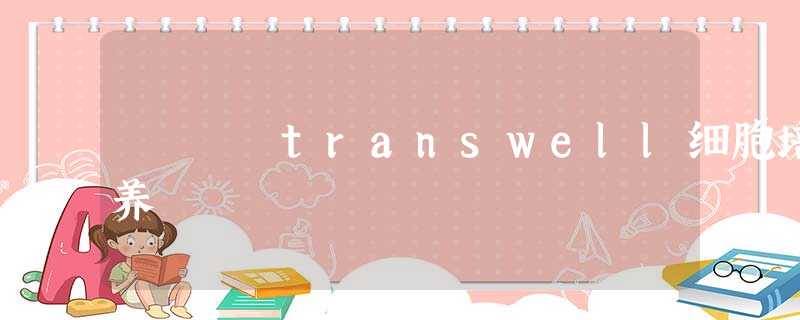 transwell细胞培养 transwell细胞培养