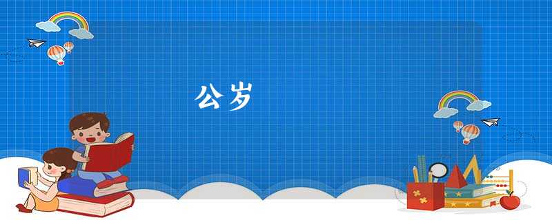 公岁 公岁