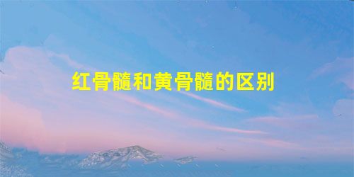 红骨髓和黄骨髓的区别 红骨髓和黄骨髓的区别