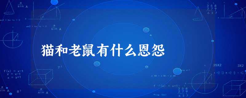猫和老鼠有什么恩怨 猫和老鼠有什么恩怨