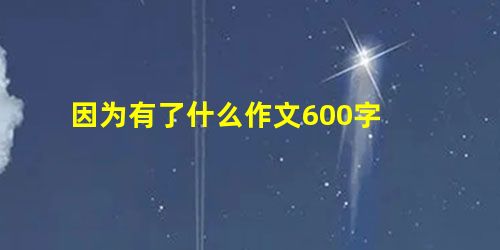 因为有了什么作文600字 因为有了什么作文600字
