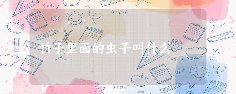 竹子里面的虫子叫什么 竹子里面的虫子叫什么