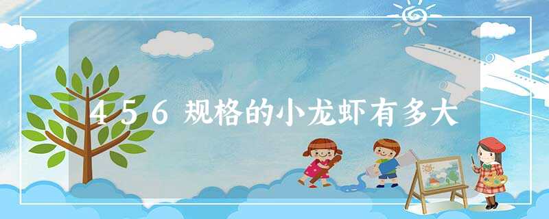 456规格的小龙虾有多大 456规格的小龙虾有多大