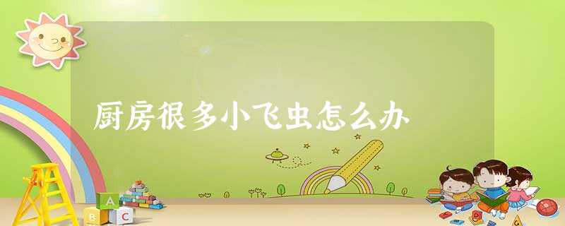 厨房很多小飞虫怎么办 厨房很多小飞虫怎么办