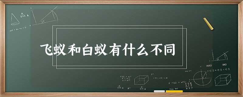 飞蚁和白蚁有什么不同 飞蚁和白蚁有什么不同