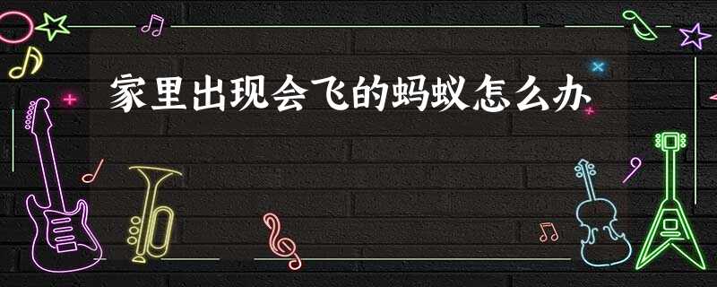家里出现会飞的蚂蚁怎么办 家里出现会飞的蚂蚁怎么办
