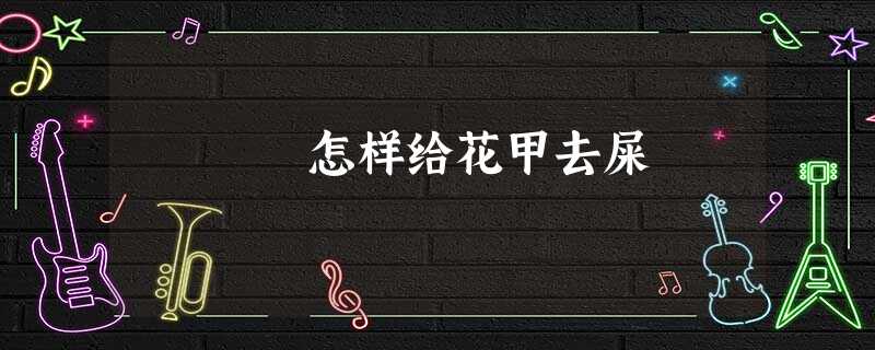 怎样给花甲去屎 怎样给花甲去屎