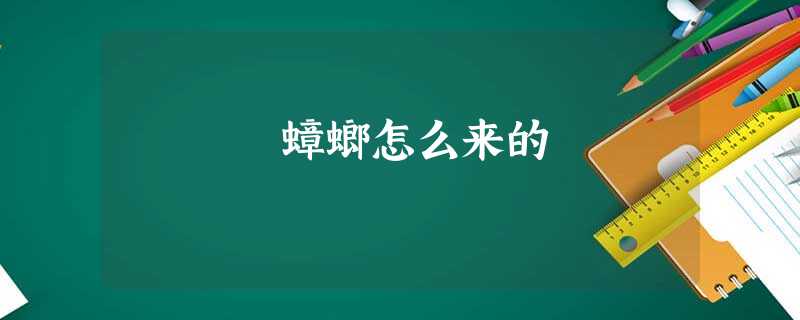 蟑螂怎么来的 蟑螂怎么来的