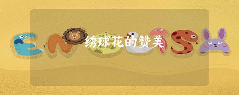 绣球花的赞美 绣球花的赞美