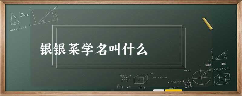 银银菜学名叫什么 银银菜学名叫什么
