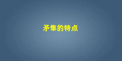 矛隼的特点 矛隼的特点