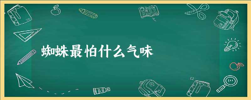 蜘蛛最怕什么气味 蜘蛛最怕什么气味