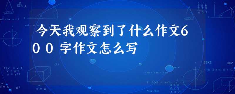 今天我观察到了什么作文600字作文怎么写 今天我观察到了什么作文600字作文怎么写