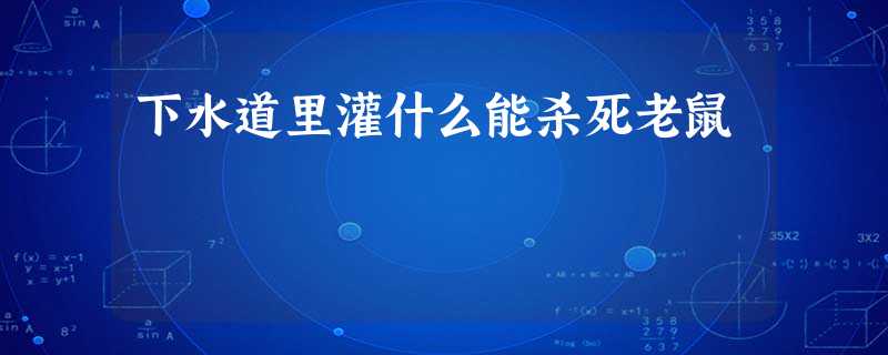 下水道里灌什么能杀死老鼠 下水道里灌什么能杀死老鼠