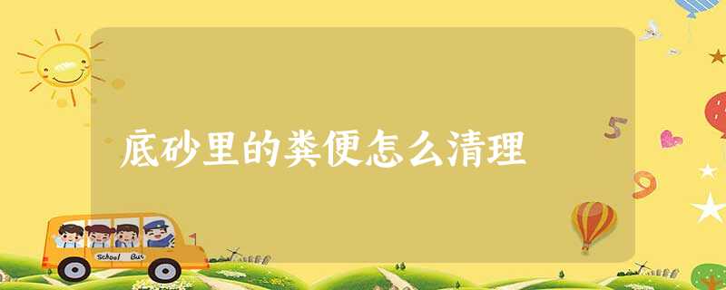 底砂里的粪便怎么清理 底砂里的粪便怎么清理