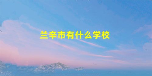 兰辛市有什么学校 兰辛市有什么学校