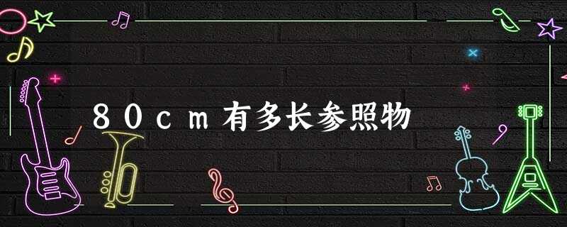 80cm有多长参照物 80cm有多长参照物