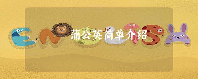 蒲公英简单介绍 蒲公英简单介绍