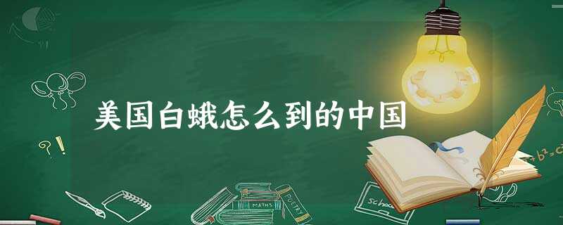 美国白蛾怎么到的中国 美国白蛾怎么到的中国