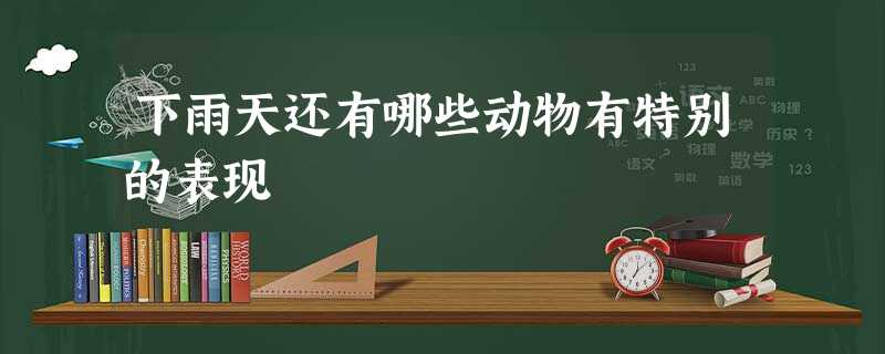 下雨天还有哪些动物有特别的表现 下雨天还有哪些动物有特别的表现